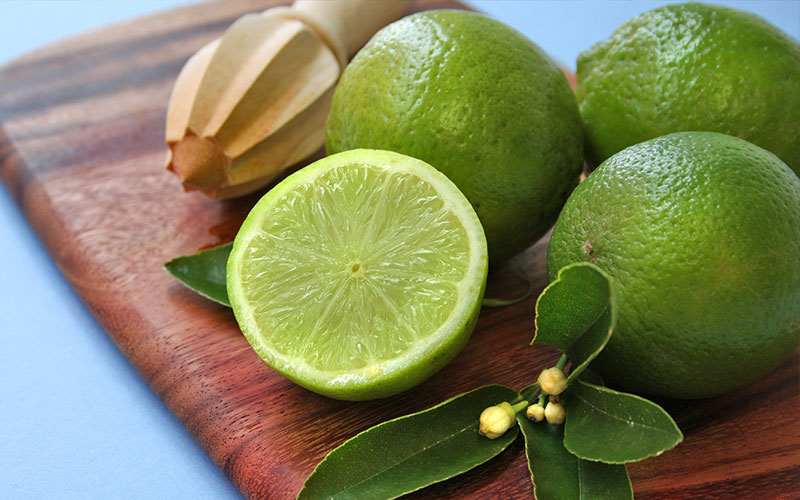 GARDEN CENTER PINE ISLAND