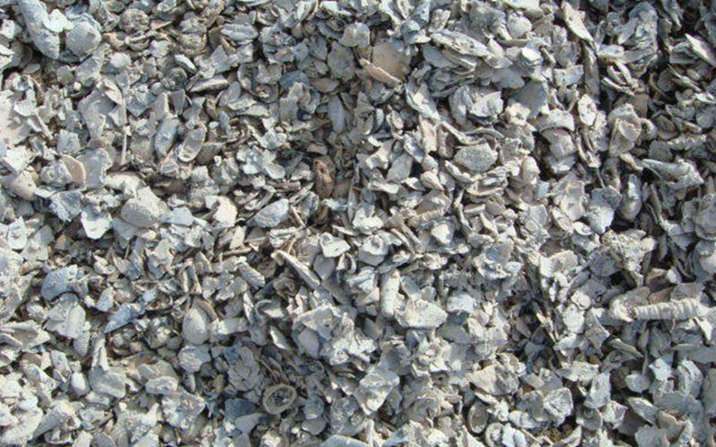 GARDEN CENTER NORTH FORT MYERS