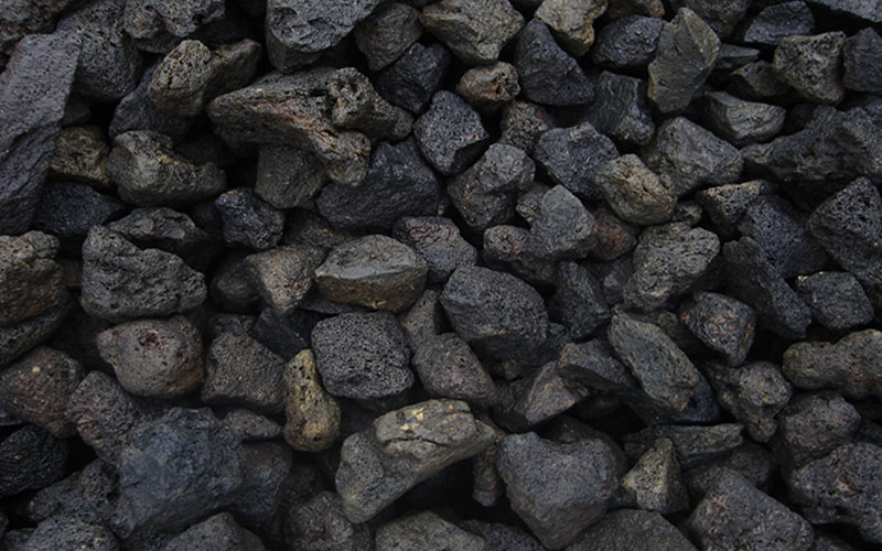 GARDEN CENTER NORTH FORT MYERS