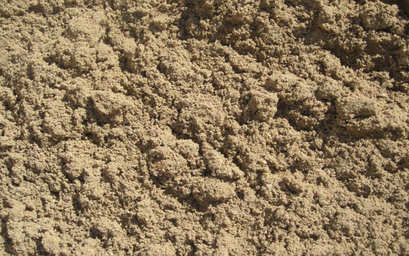 GARDEN CENTER NORTH FORT MYERS