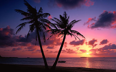 Beltran Nursery & Landscaping