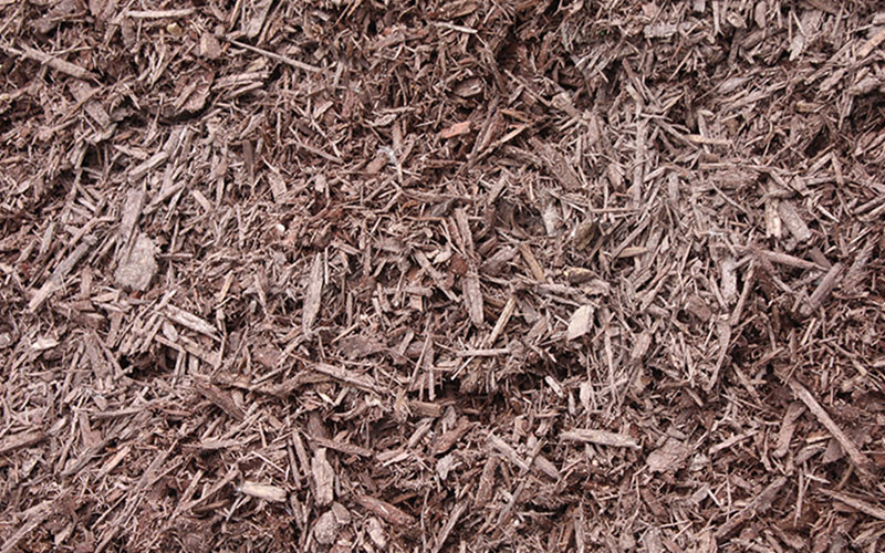 GARDEN CENTER NORTH FORT MYERS