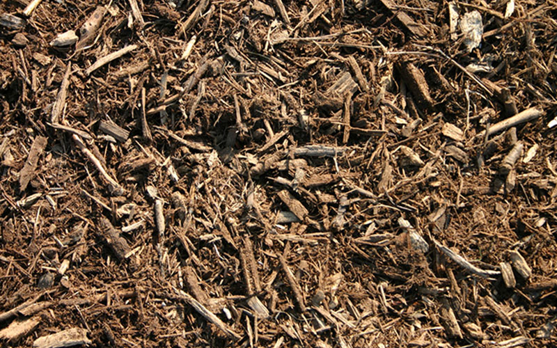 GARDEN CENTER NORTH FORT MYERS