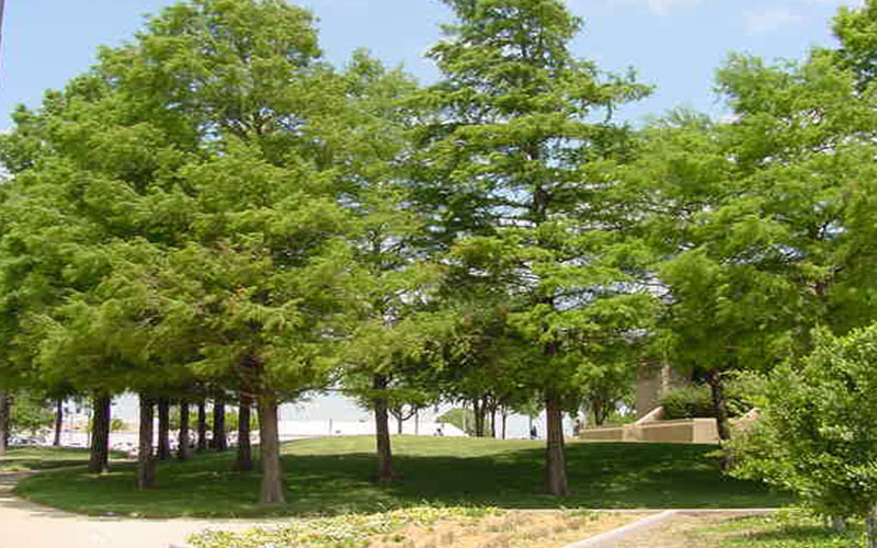 GARDEN CENTER NORTH FORT MYERS