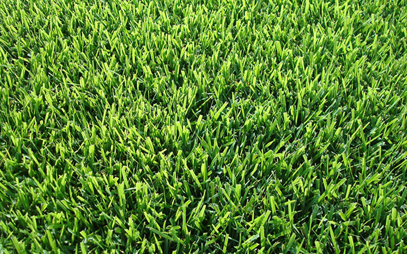 GARDEN CENTER NORTH FORT MYERS