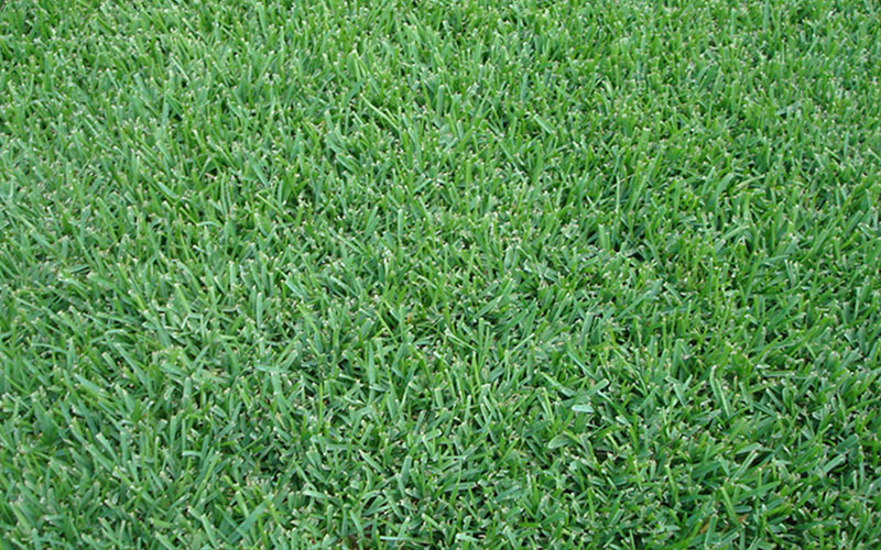 GARDEN CENTER NORTH FORT MYERS