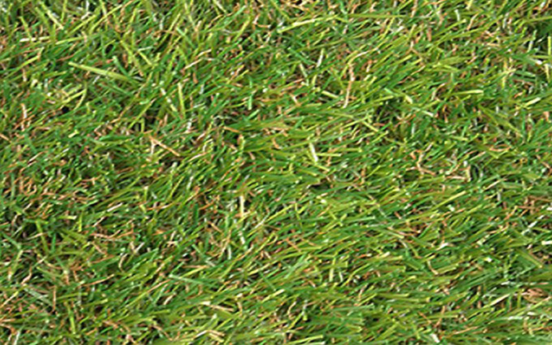 GARDEN CENTER NORTH FORT MYERS