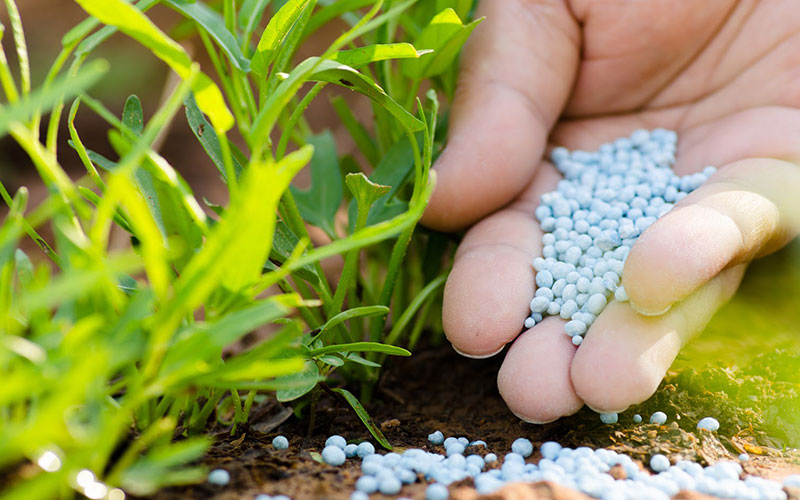 GARDEN CENTER NORTH FORT MYERS