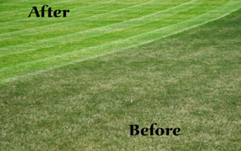 GARDEN CENTER NORTH FORT MYERS