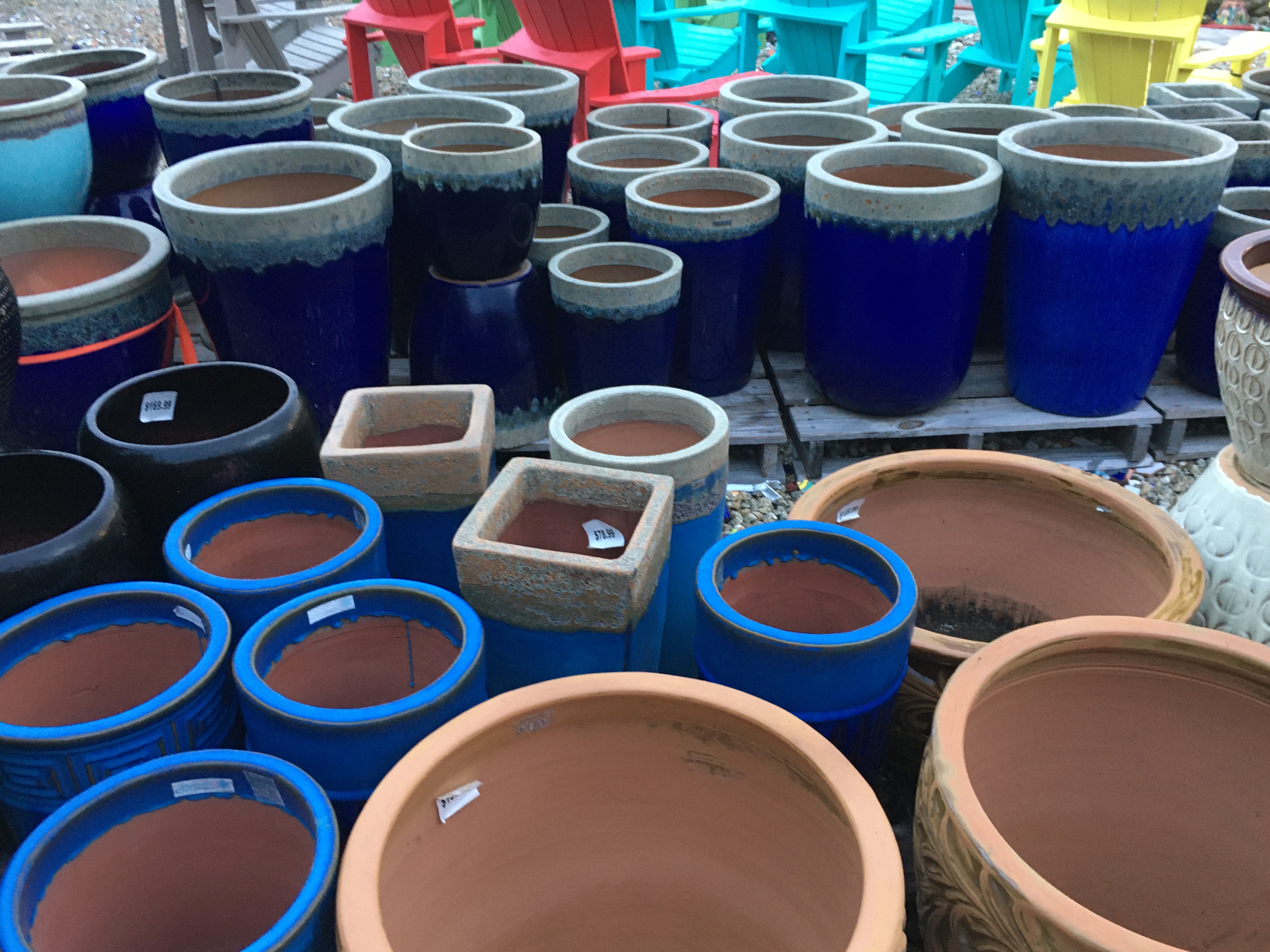 GARDEN CENTER NORTH FORT MYERS