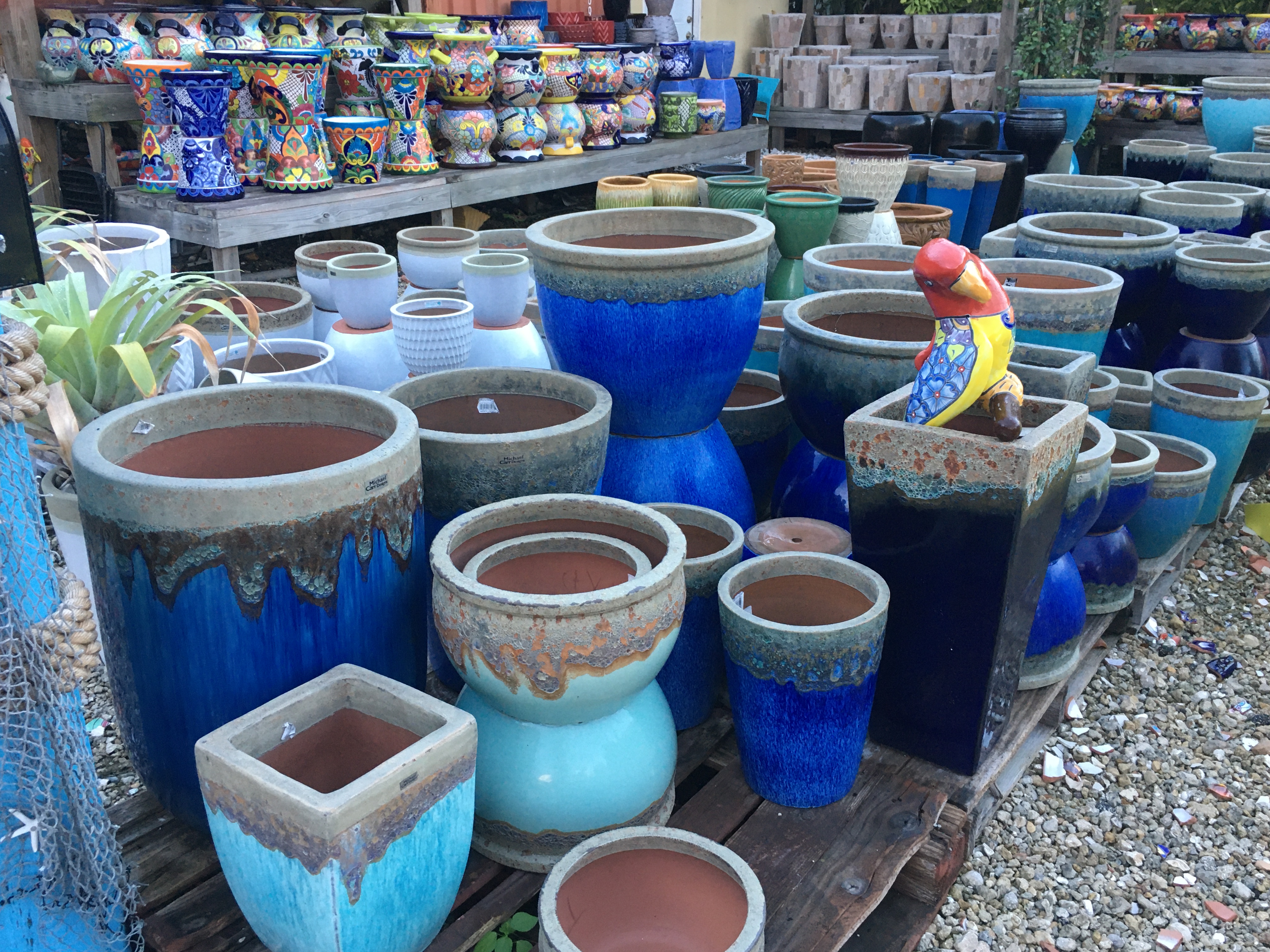 GARDEN CENTER NORTH FORT MYERS