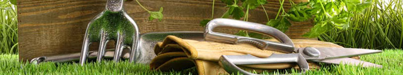 GARDEN CENTER NORTH FORT MYERS